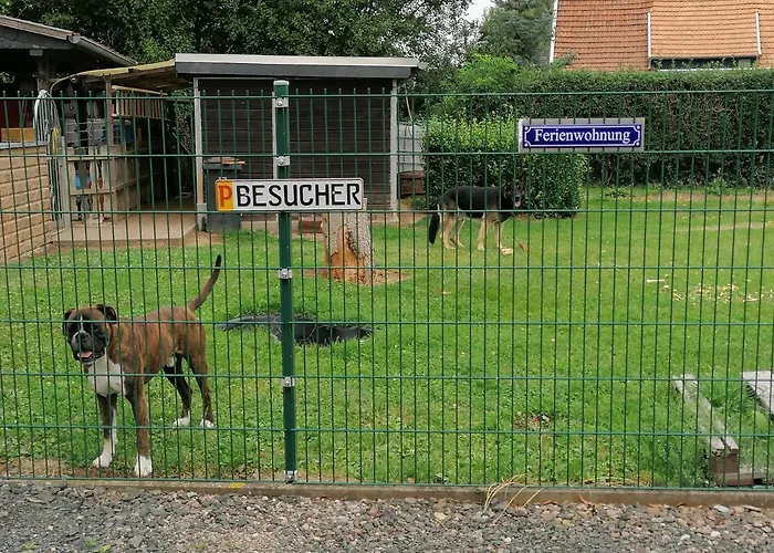 Little Joe Appartamento