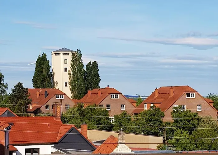 Little Joe Hotzelsroda