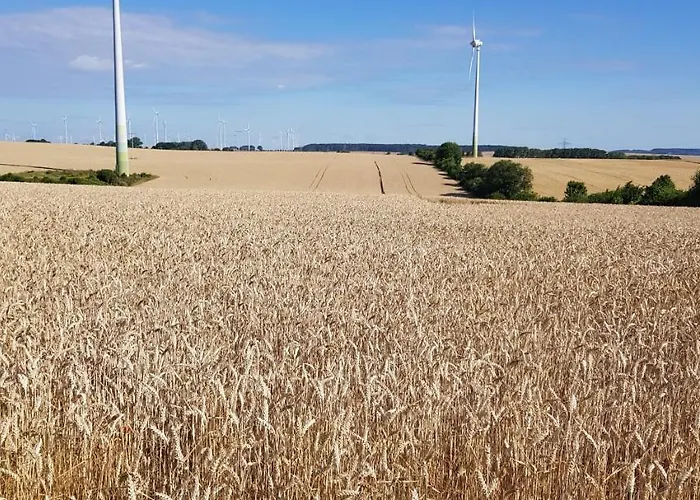 Appartamento Little Joe