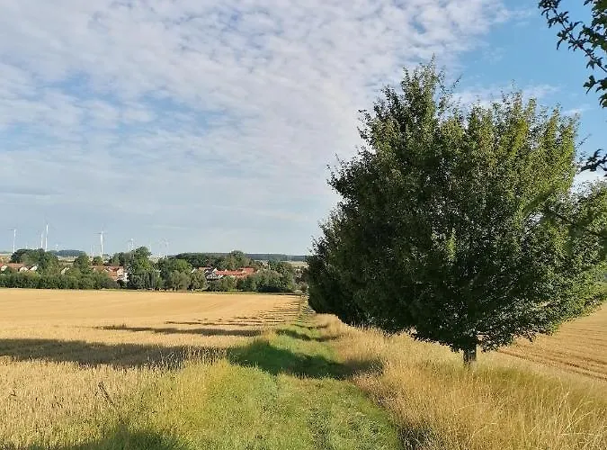 Little Joe * Hotzelsroda