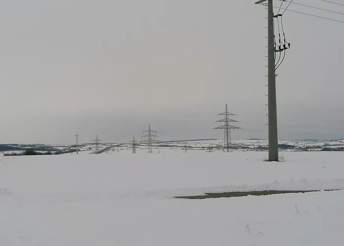 Little Joe Hotzelsroda