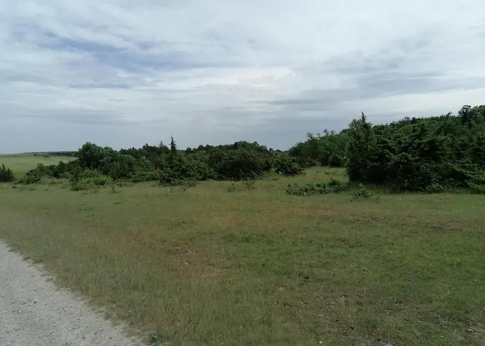 Little Joe Apartamento